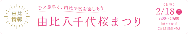 由比八十代桜まつり
